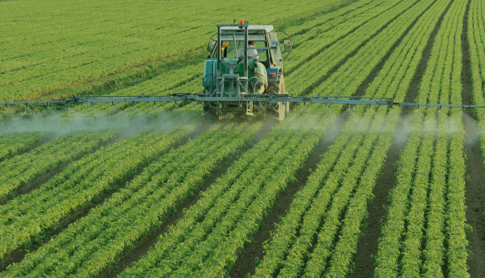 Coop Fermes du Nord, cultiver son champ, agriculture.