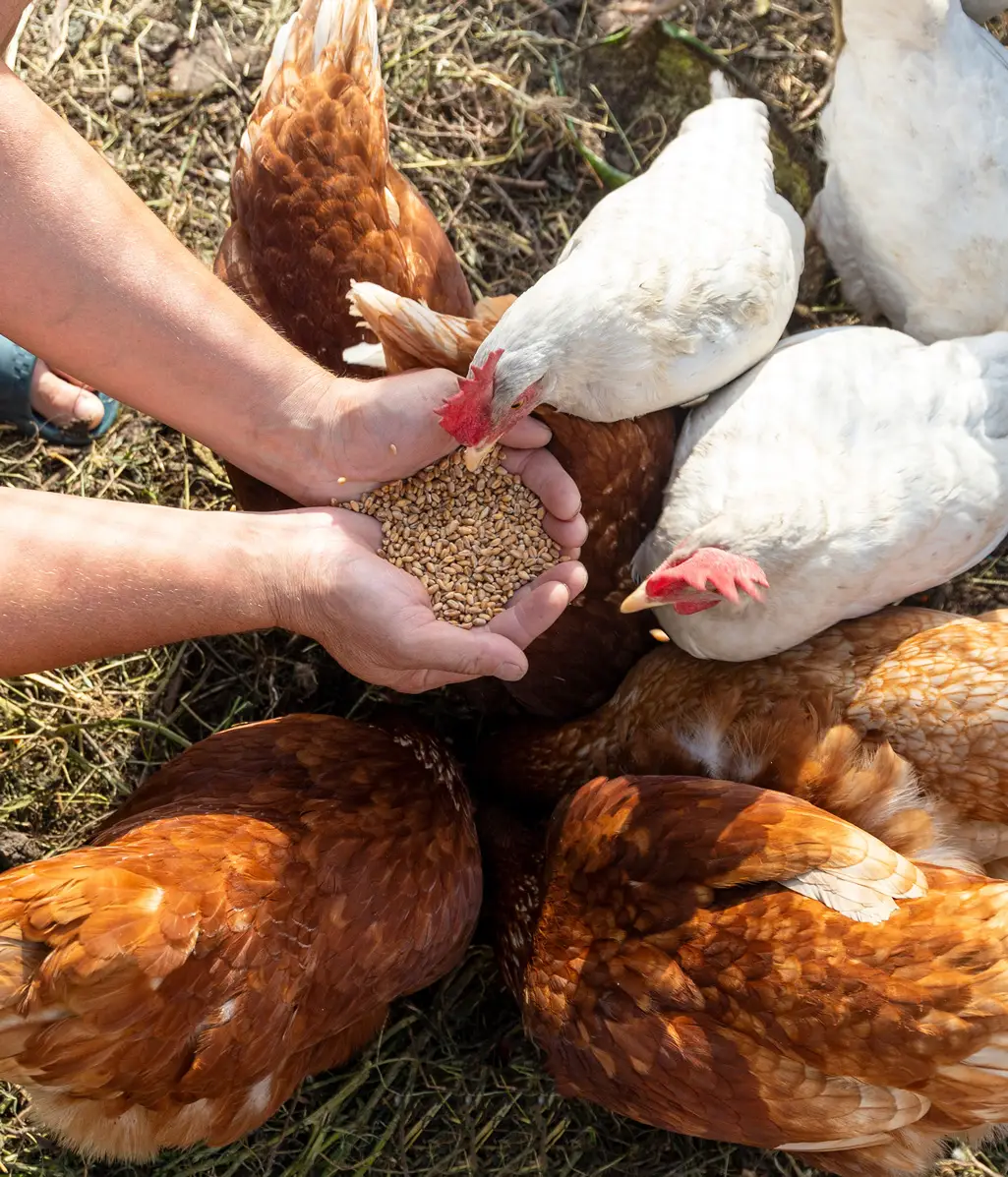 Coop Fermes du Nord, l'engagement envers nos clients et membres