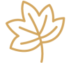 Icône qui représente l'acériculture